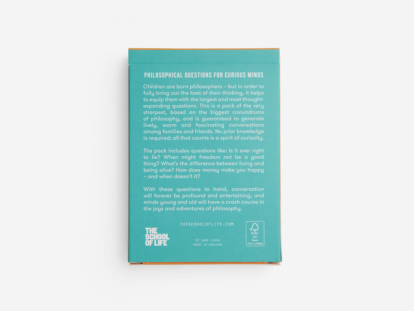 Philosophical Questions for Curious Minds