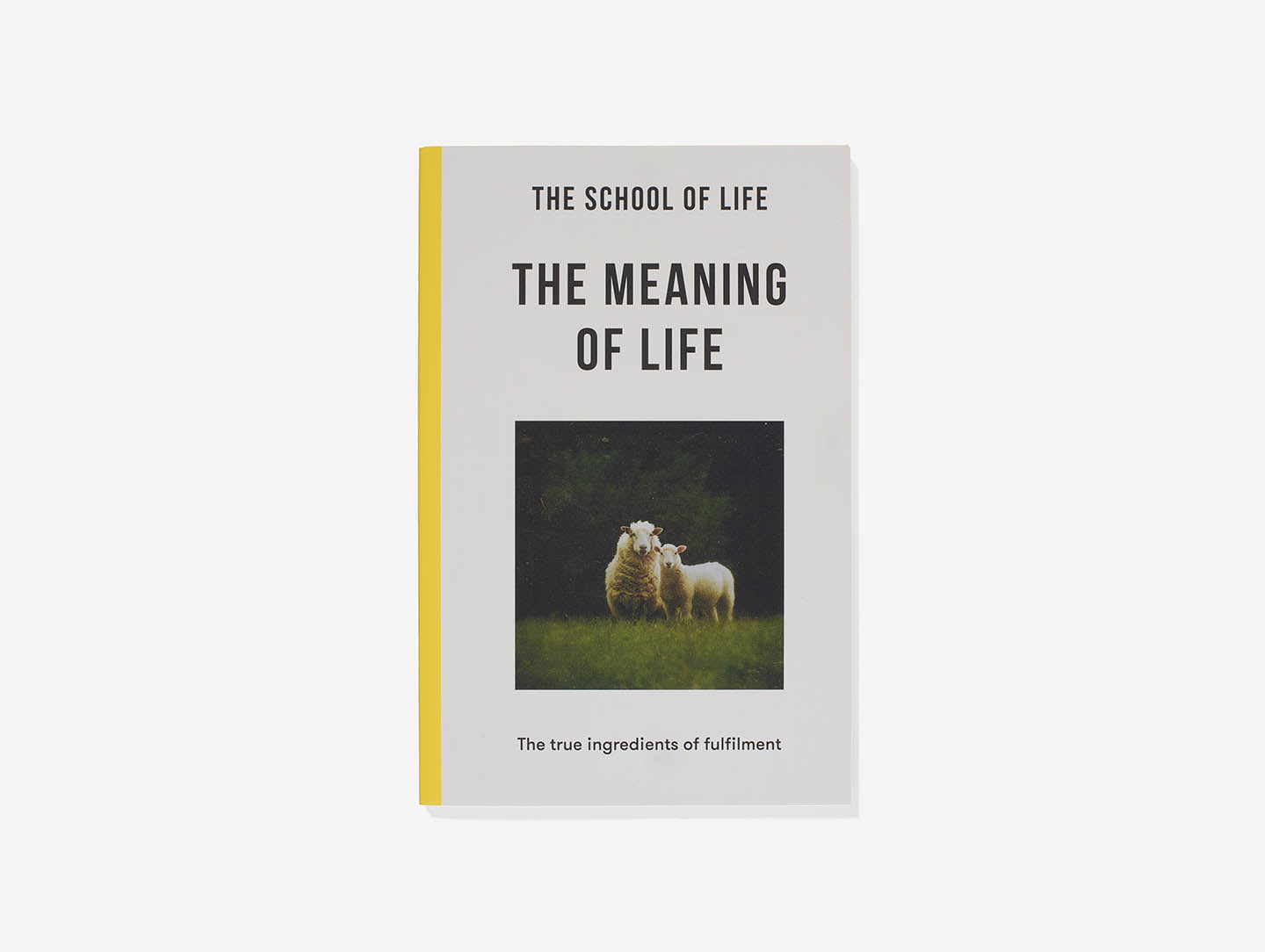 The Meaning of Life