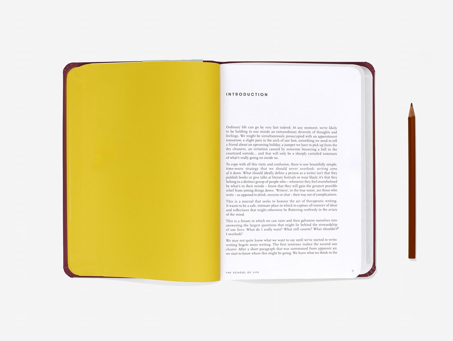 The Career Therapy Collection