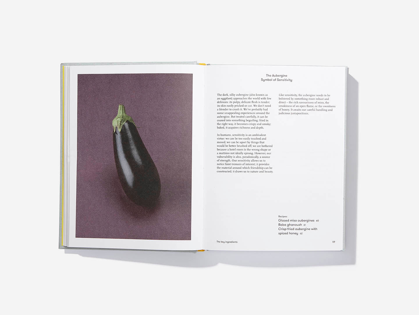 Thinking & Eating Cookbook