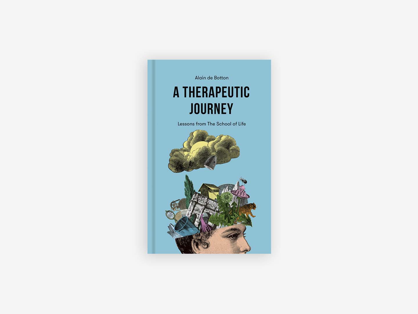 A Therapeutic Journey
