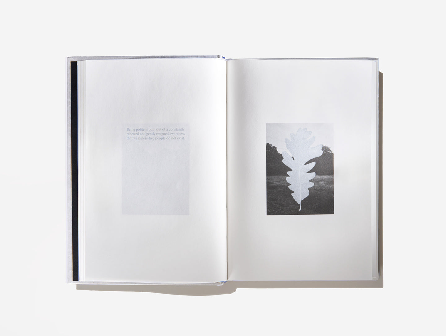 An Emotional Education - Limited Collector’s Edition