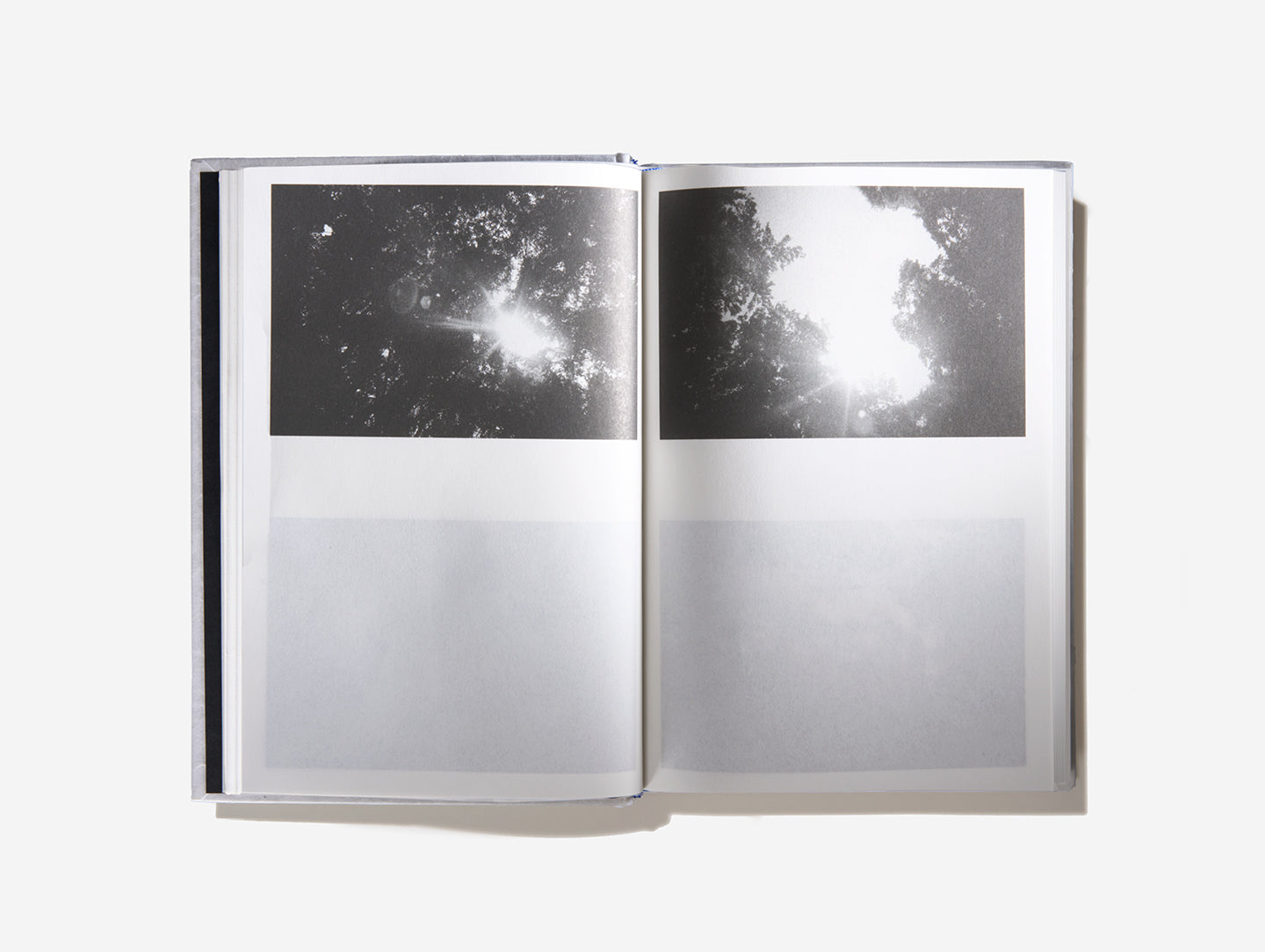 An Emotional Education - Limited Collector’s Edition
