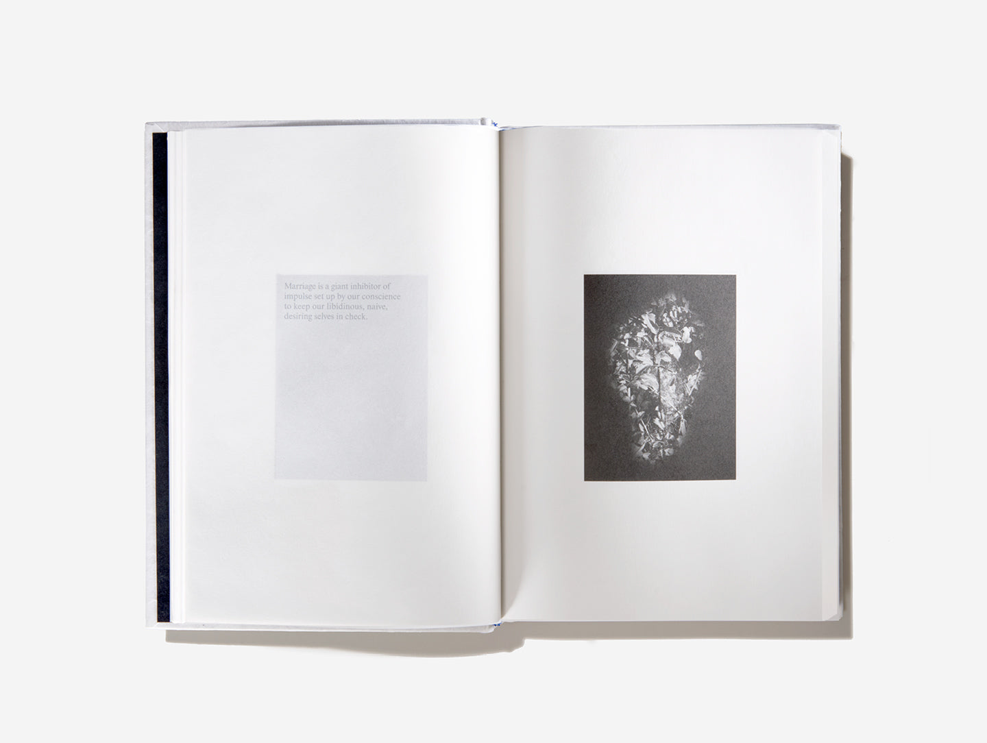 An Emotional Education - Limited Collector’s Edition