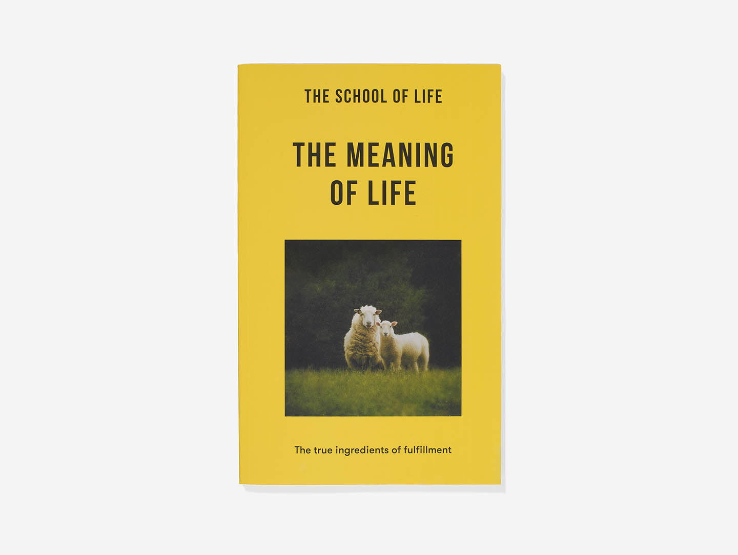 The Meaning of Life